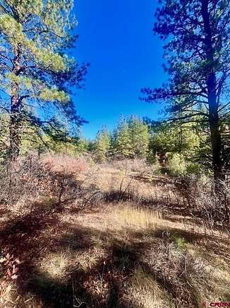 4.8 Acres of Residential Land for Sale in Durango, Colorado