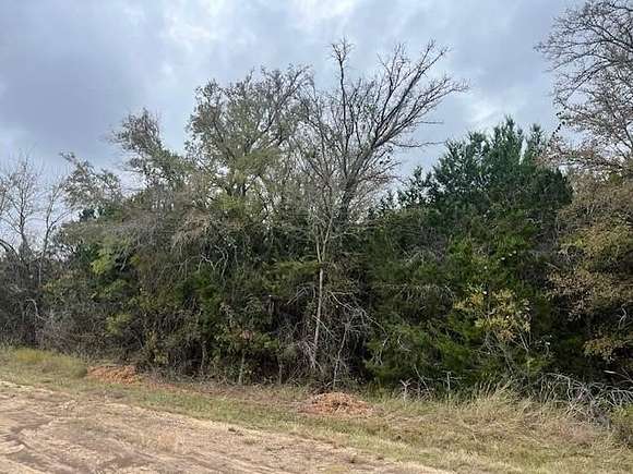 0.6 Acres of Land for Sale in Whitney, Texas