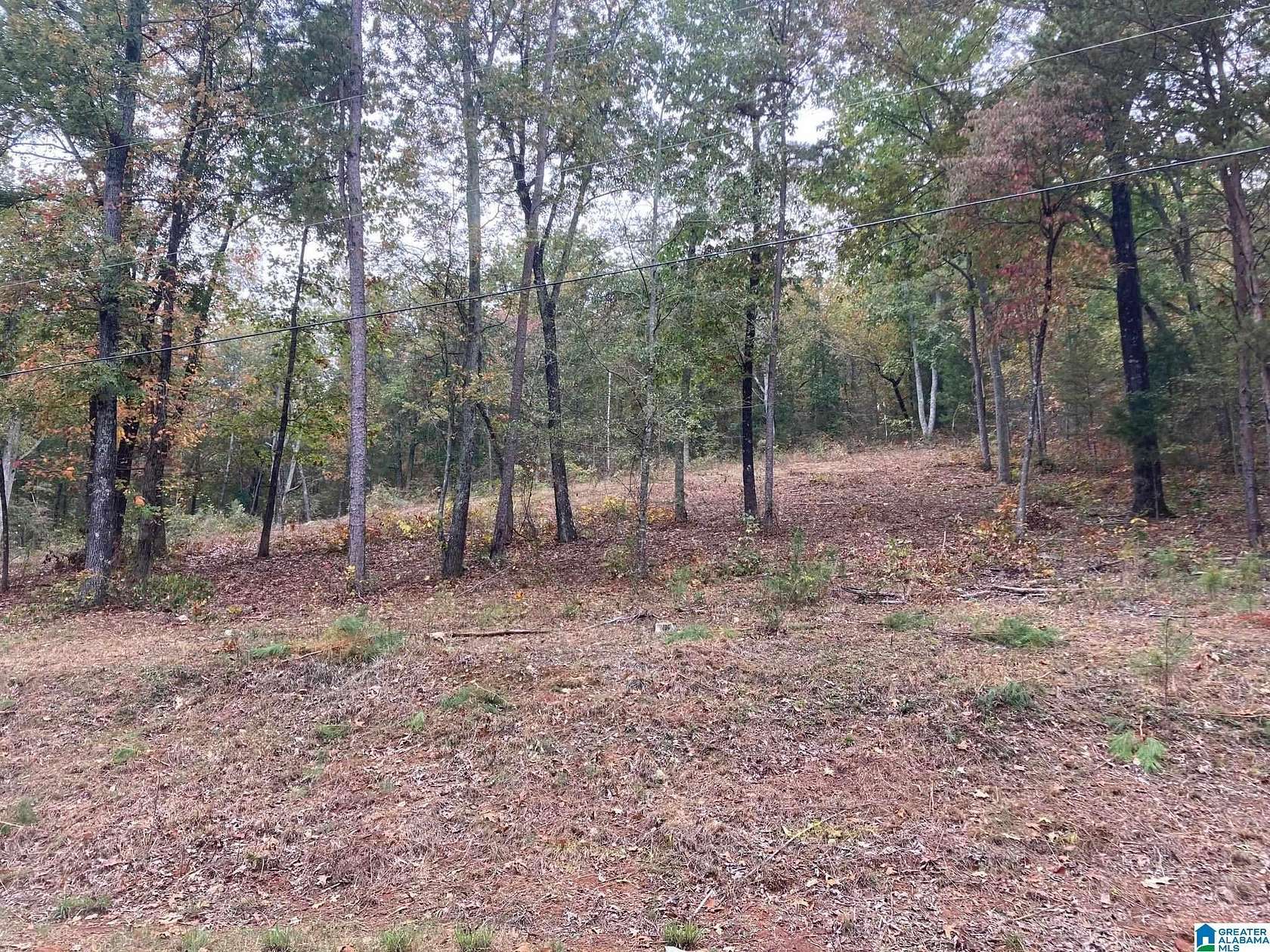 1 Acre of Residential Land for Sale in Odenville, Alabama