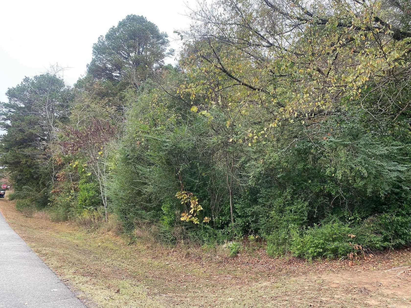 1 Acre of Residential Land for Sale in Heber Springs, Arkansas