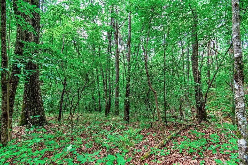 3.67 Acres of Residential Land for Sale in Ellijay, Georgia