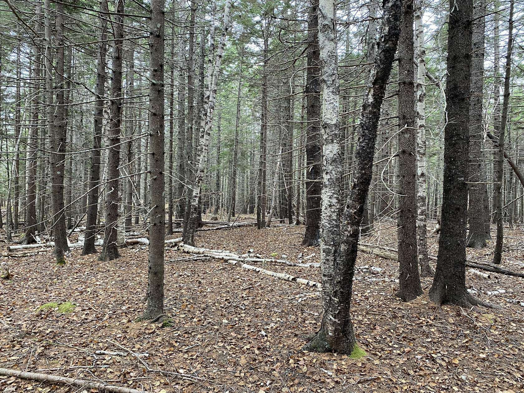 1.6 Acres of Land for Sale in Islesboro, Maine