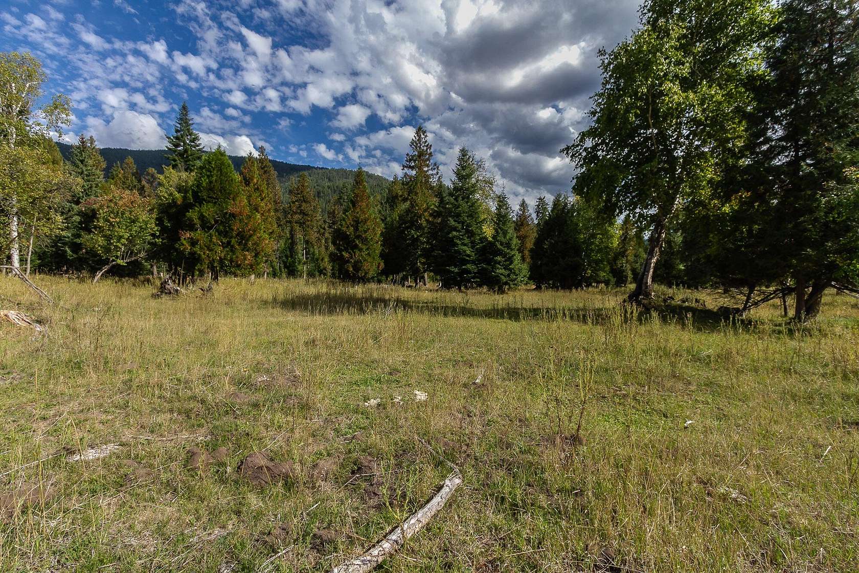 24.1 Acres of Recreational Land & Farm for Sale in Colville, Washington