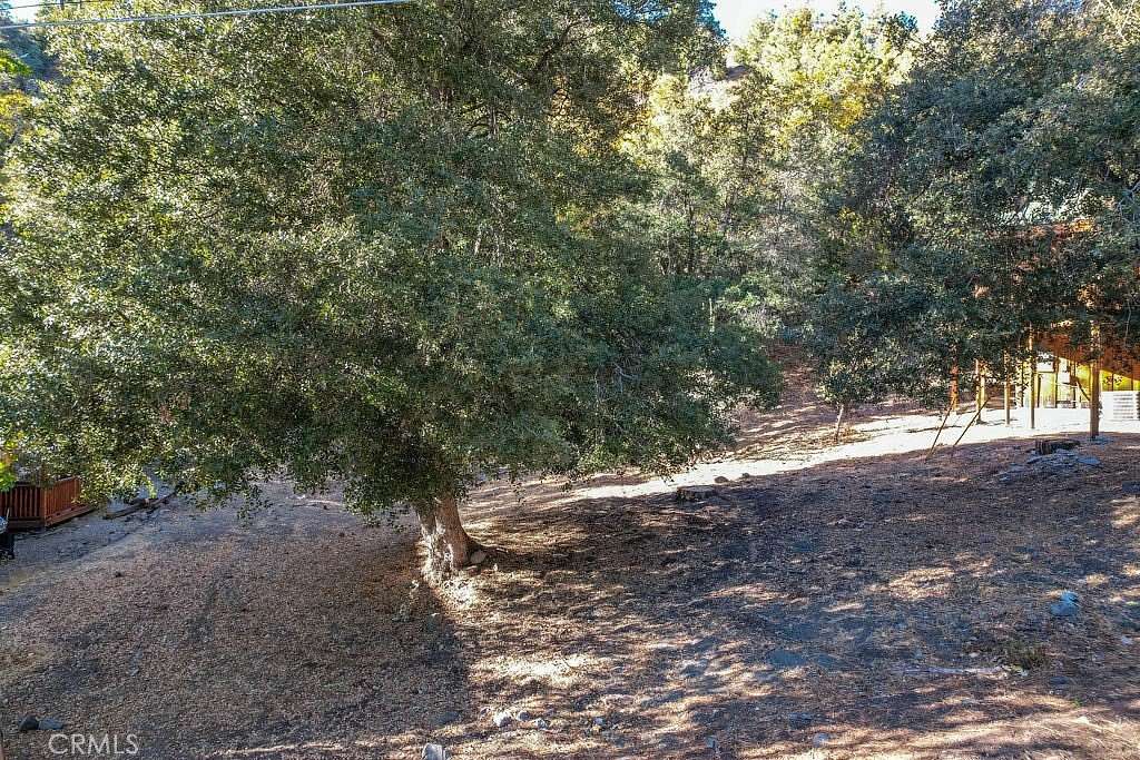 0.225 Acres of Residential Land for Sale in Wrightwood, California