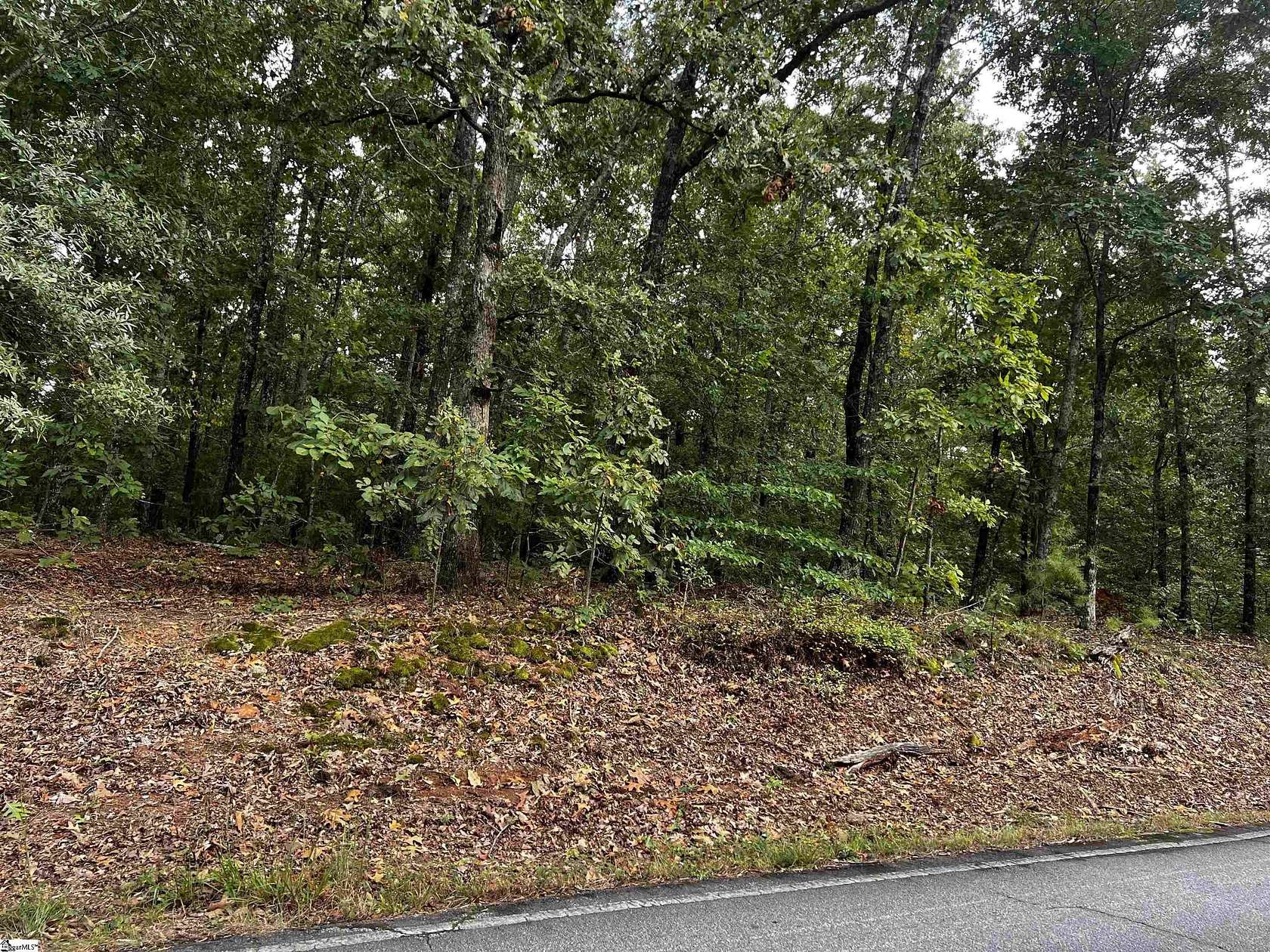 2 Acres of Residential Land for Sale in Williamston, South Carolina