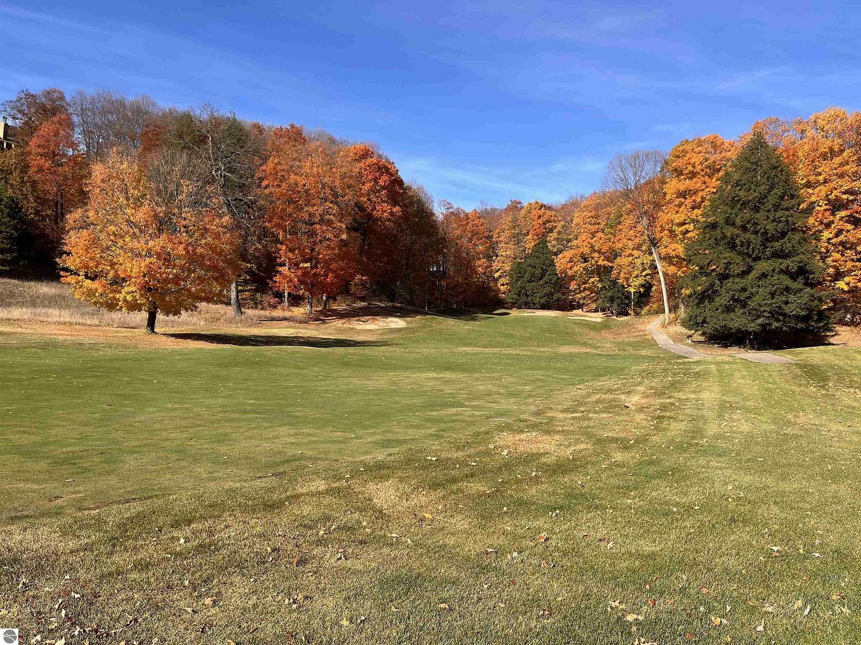 1 Acre of Land for Sale in Bellaire, Michigan