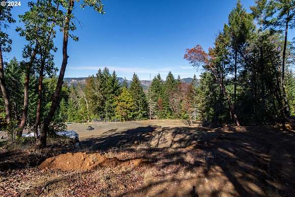 13 Acres of Land for Sale in Winston, Oregon