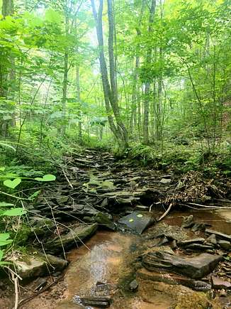 128 Acres of Recreational Land for Sale in Green Bank, West Virginia