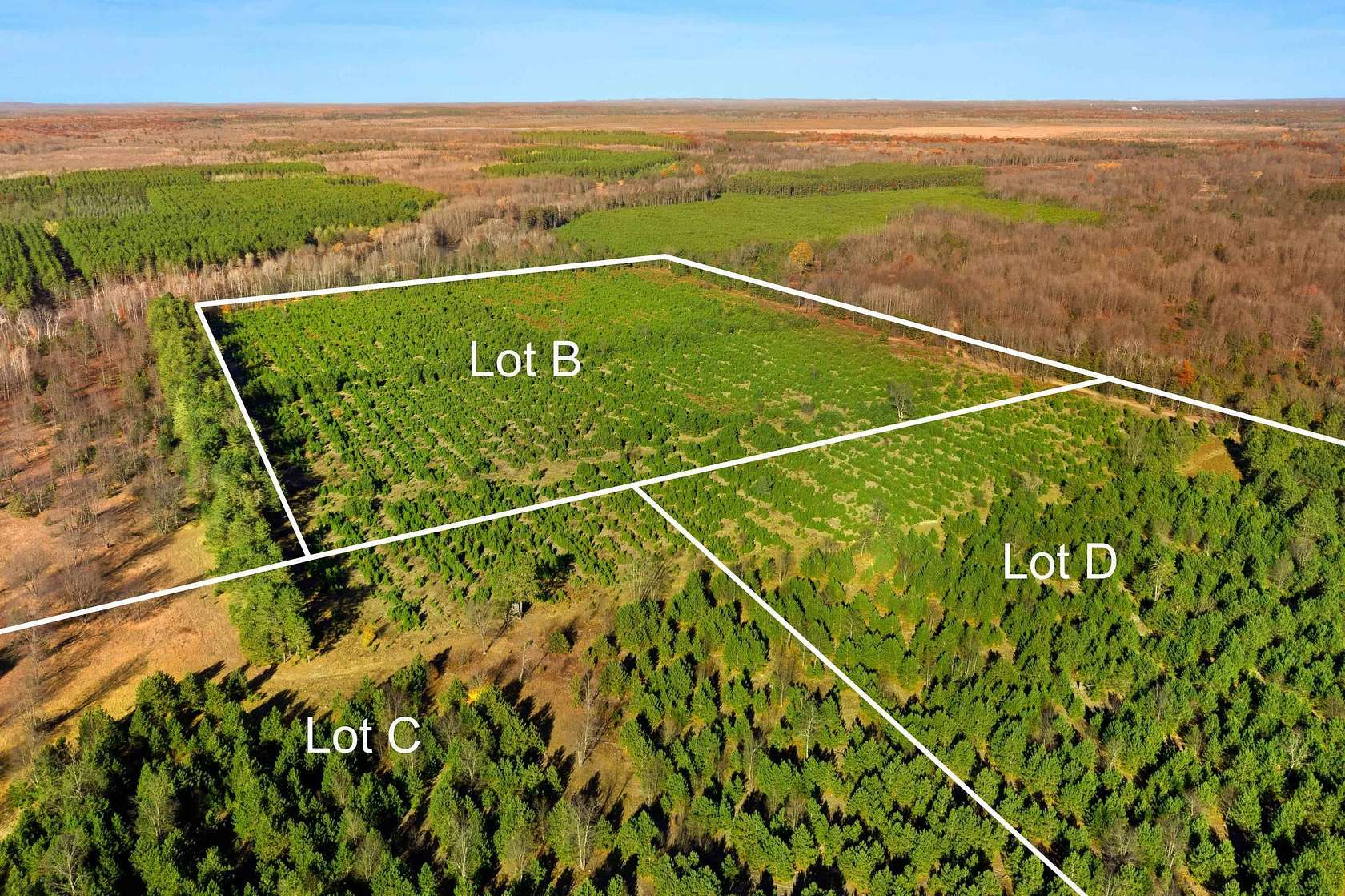 15 Acres of Land for Sale in Thompsonville, Michigan