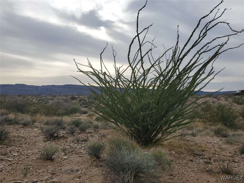 1.4 Acres of Residential Land for Sale in Yucca, Arizona