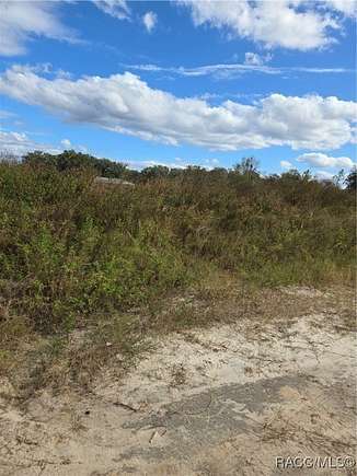 0.31 Acres of Residential Land for Sale in Inverness, Florida