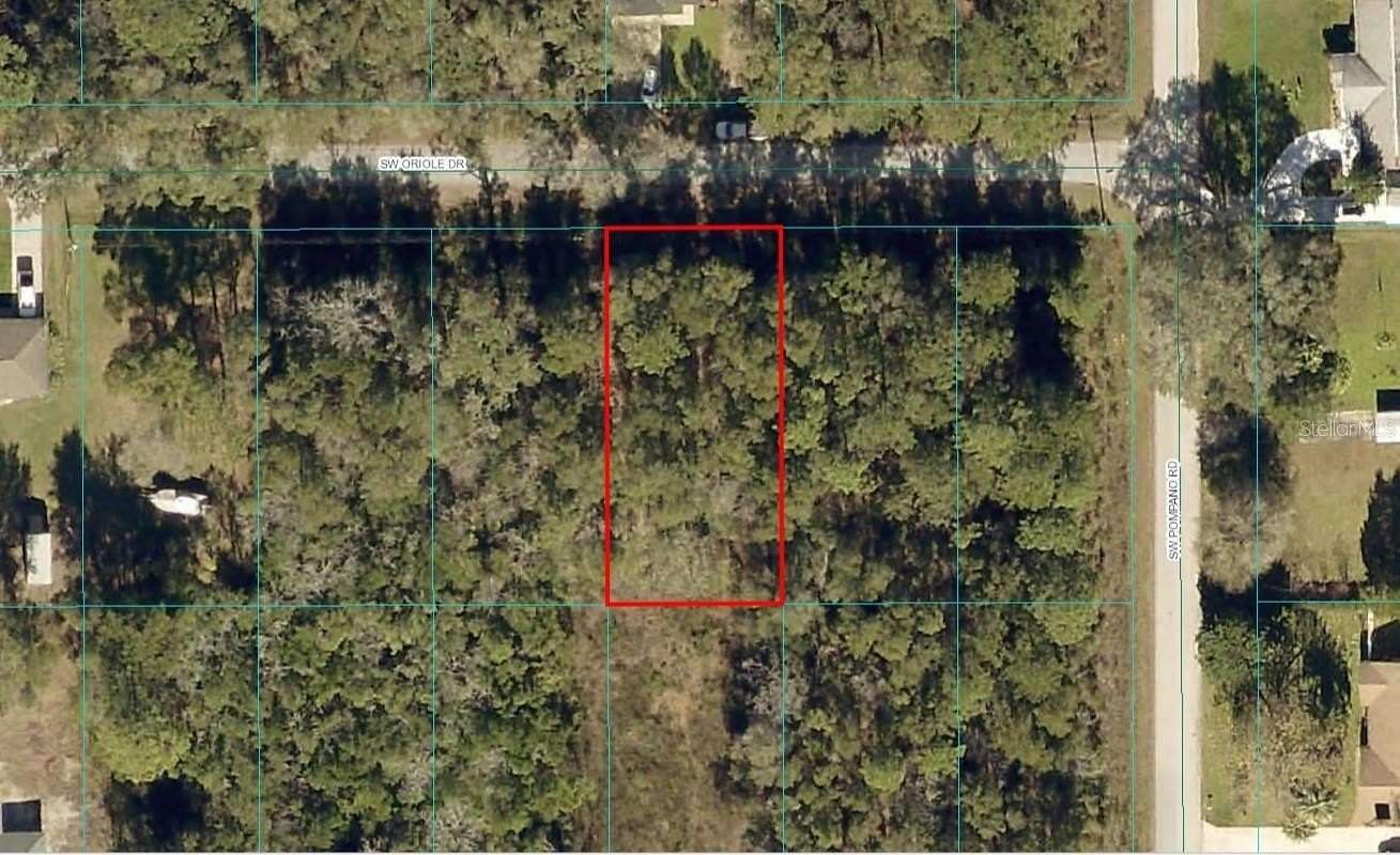 0.24 Acres of Residential Land for Sale in Dunnellon, Florida