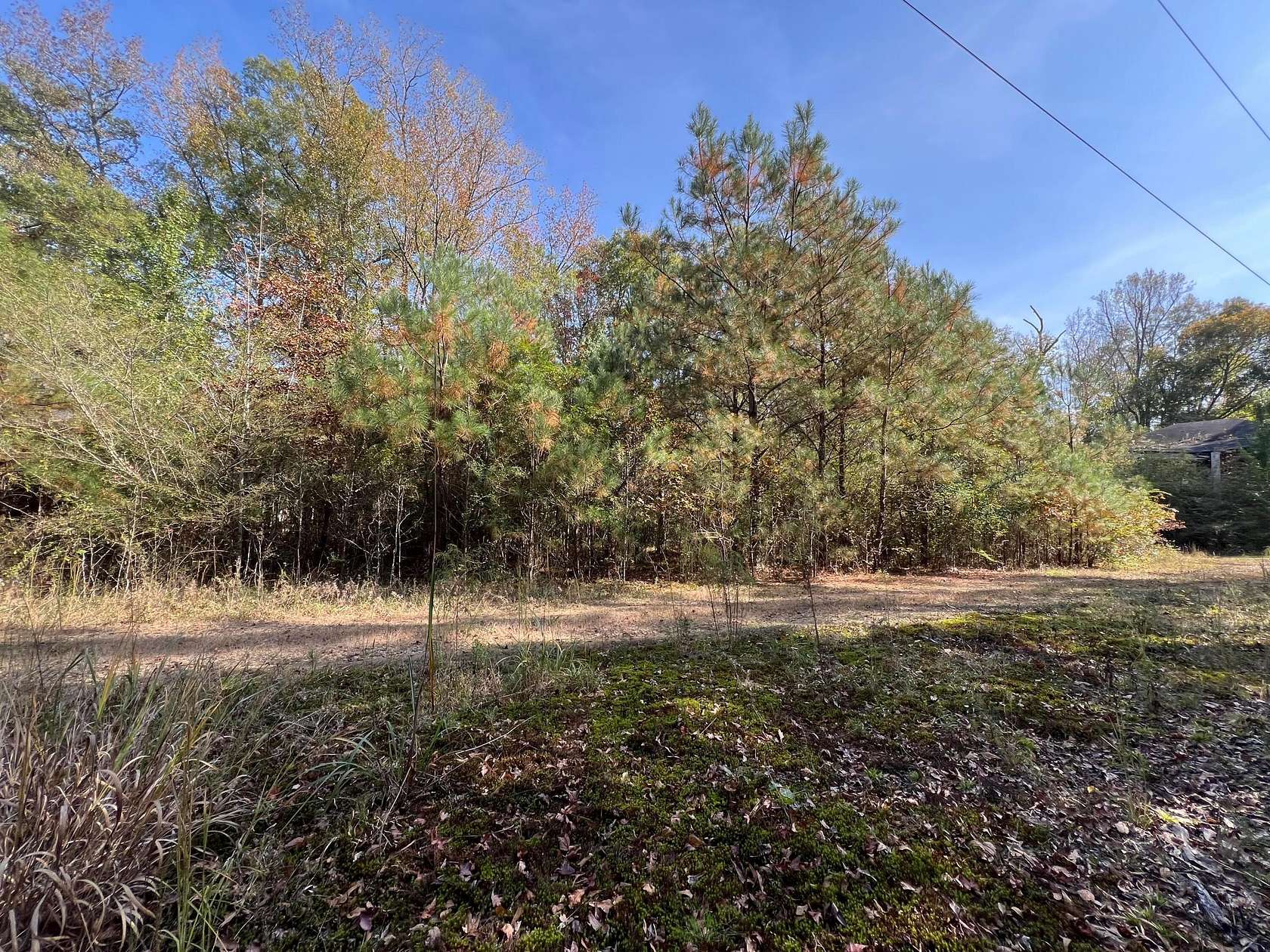 9.7 Acres of Commercial Land for Sale in Winfield, Alabama