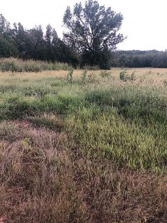 0.75 Acres of Residential Land for Sale in Iva, South Carolina