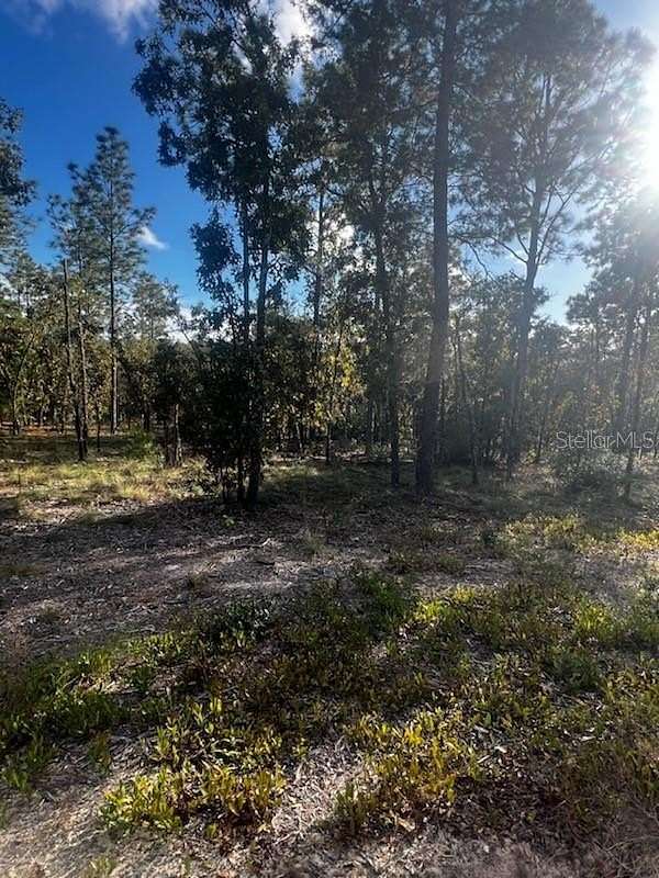 5.15 Acres of Land for Sale in Melrose, Florida