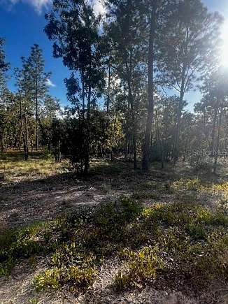 5.15 Acres of Land for Sale in Melrose, Florida