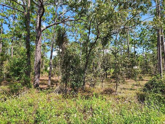 0.25 Acres of Residential Land for Sale in Dunnellon, Florida