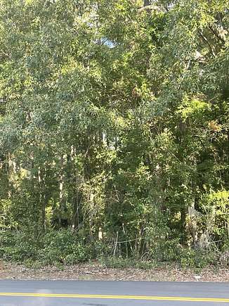 0.9 Acres of Land for Sale in Eutawville, South Carolina