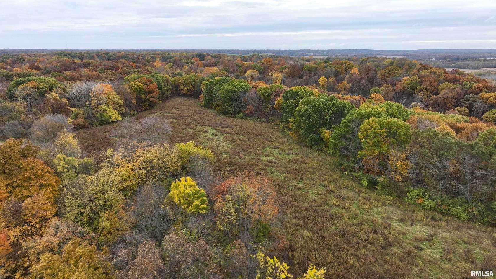 40 Acres of Recreational Land & Farm for Sale in Lewistown, Illinois