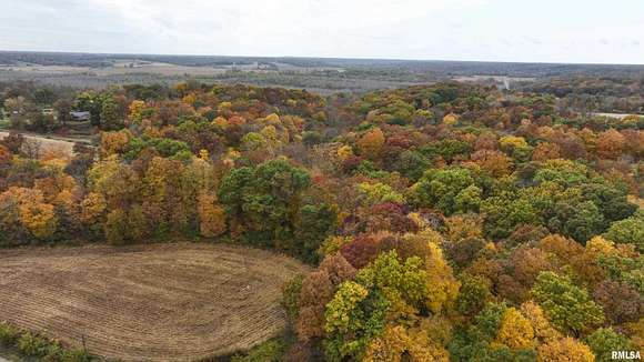 40 Acres of Recreational Land & Farm for Sale in Lewistown, Illinois