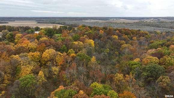 40 Acres of Recreational Land & Farm for Sale in Lewistown, Illinois