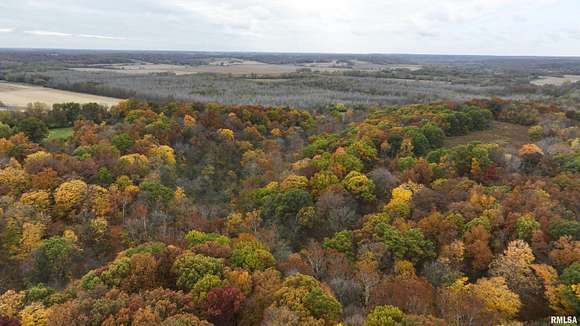 40 Acres of Recreational Land & Farm for Sale in Lewistown, Illinois