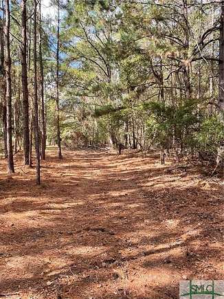 141.64 Acres of Recreational Land for Sale in Newington, Georgia