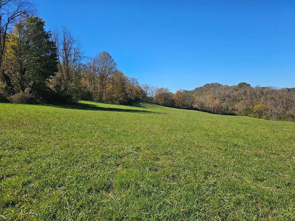 47.546 Acres of Land for Sale in Cedar Bluff, Virginia