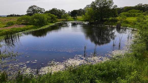 154 Acres of Recreational Land & Farm for Sale in Jacksboro, Texas