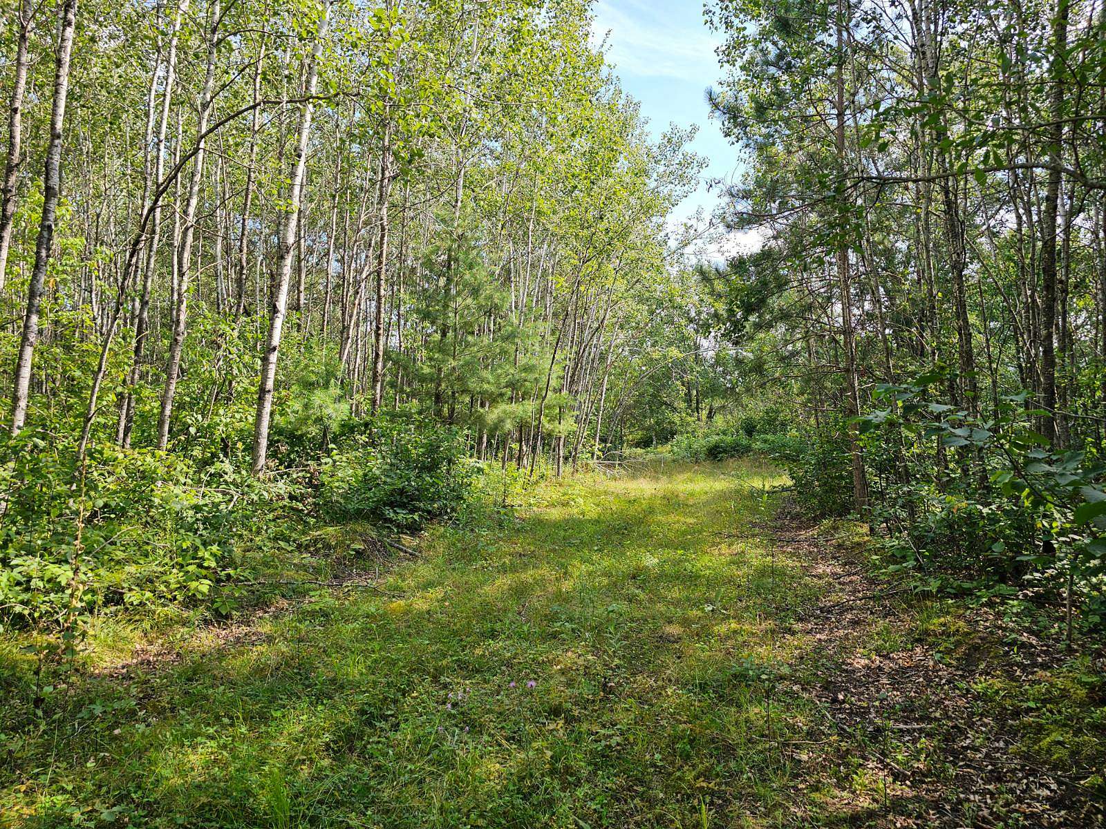 5.18 Acres of Recreational Land for Sale in Springbrook, Wisconsin