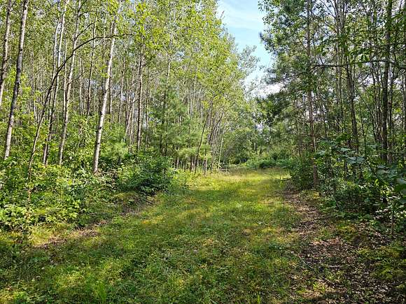 5.18 Acres of Recreational Land for Sale in Springbrook, Wisconsin