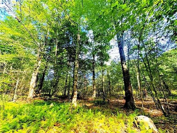 1.84 Acres of Residential Land for Sale in Tobyhanna, Pennsylvania