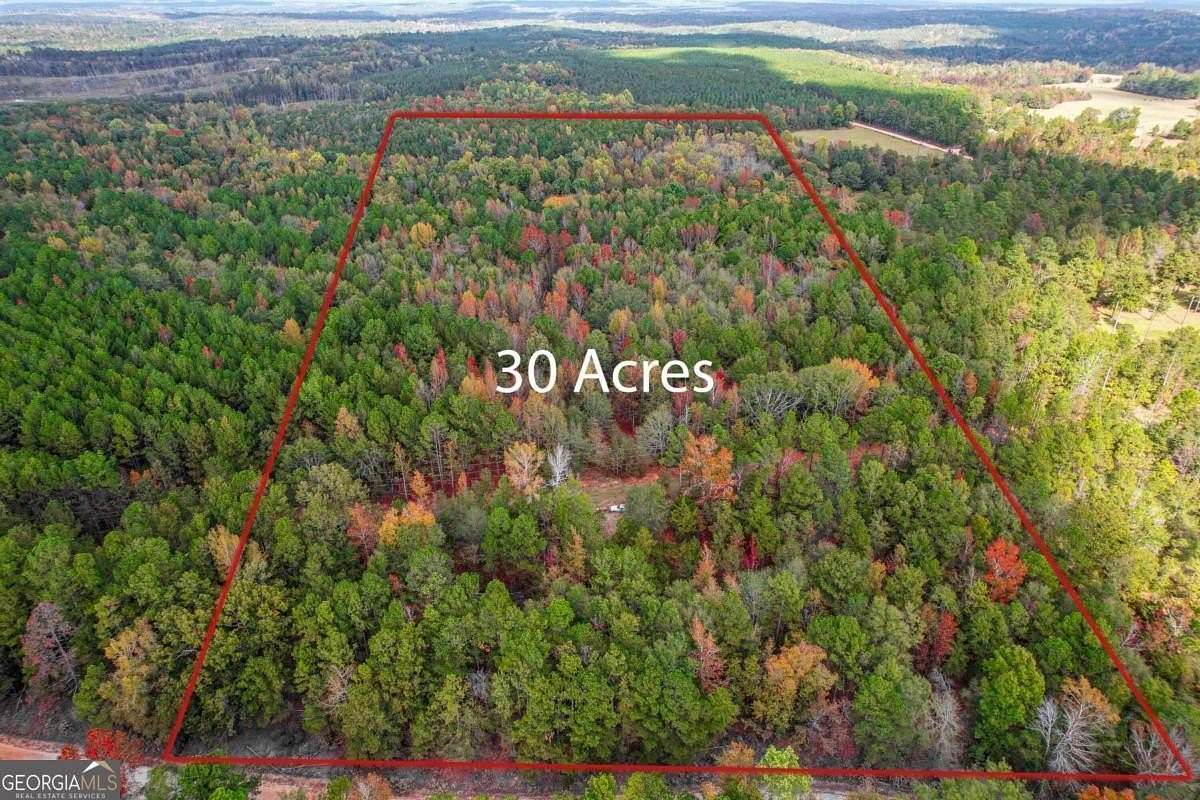 30 Acres of Land for Sale in Sparta, Georgia