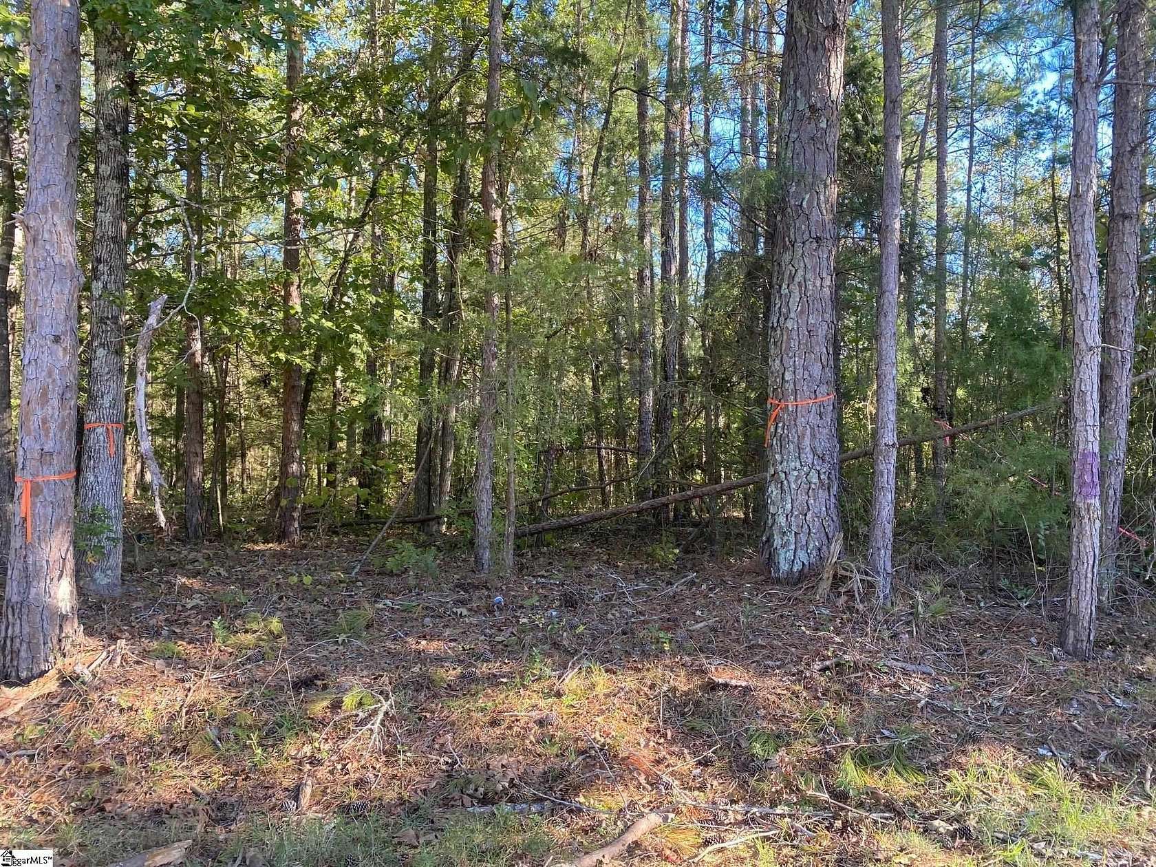 3.45 Acres of Residential Land for Sale in Waterloo, South Carolina