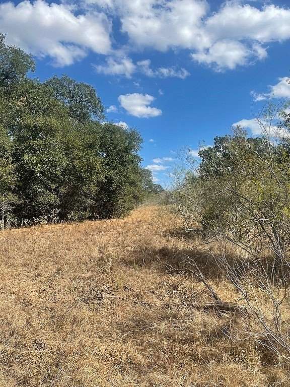 33.3 Acres of Land with Home for Sale in Waelder, Texas