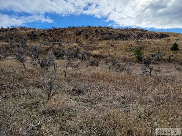 4.002 Acres of Residential Land for Sale in Carmen, Idaho