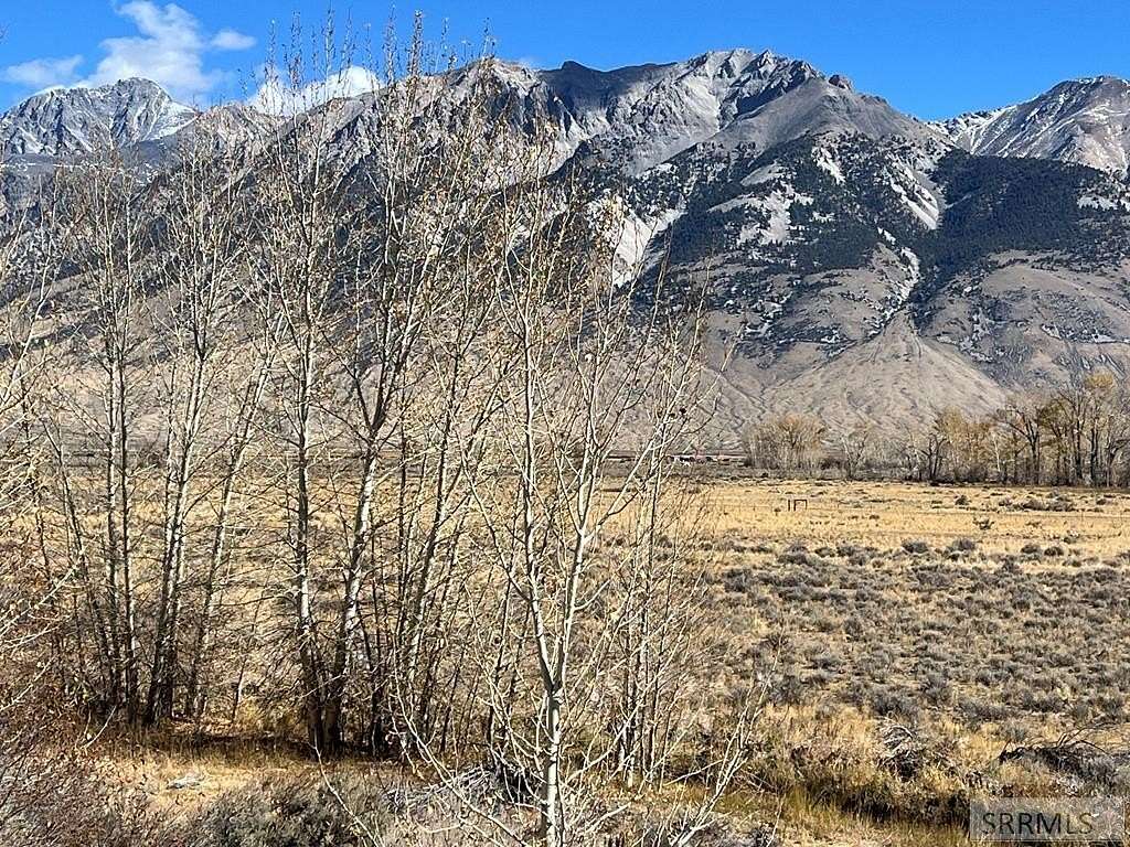 14.529 Acres of Land for Sale in Mackay, Idaho