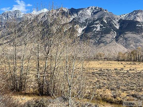 14.529 Acres of Land for Sale in Mackay, Idaho