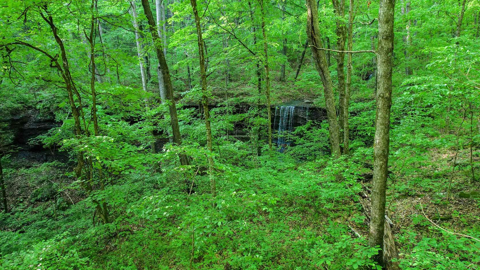 149 Acres of Land for Sale in Winslow, Arkansas