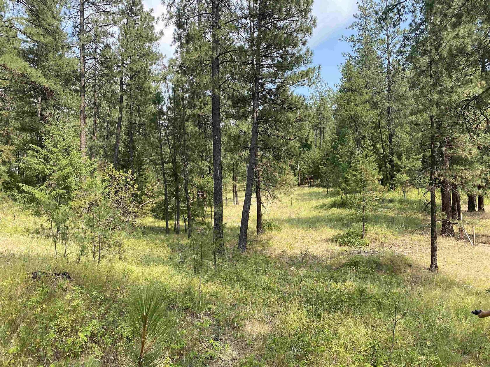 5.17 Acres of Land for Sale in Elk, Washington