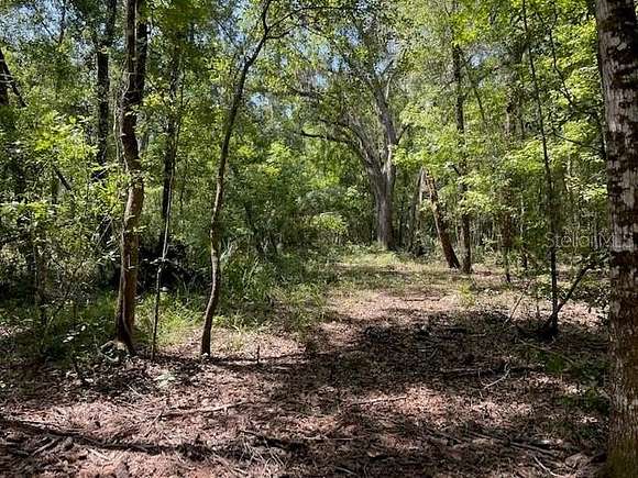 0.8 Acres of Land for Sale in Micanopy, Florida