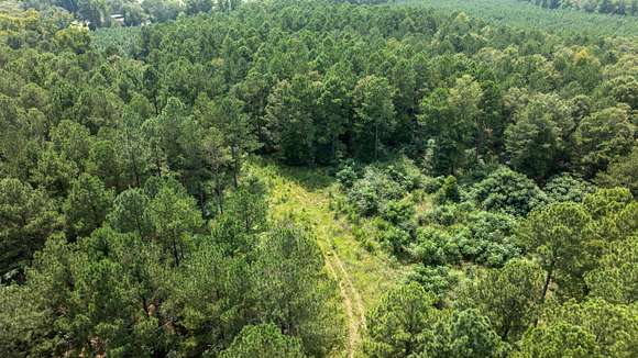 54.33 Acres of Recreational Land & Farm for Sale in Johnston, South Carolina