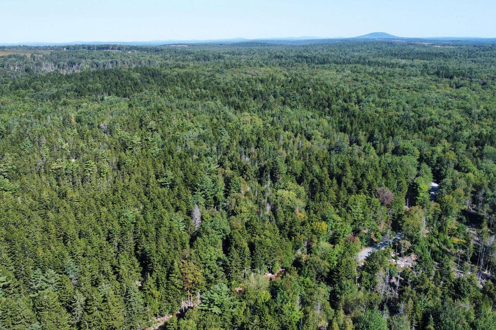 21.12 Acres of Land for Sale in Sedgwick, Maine