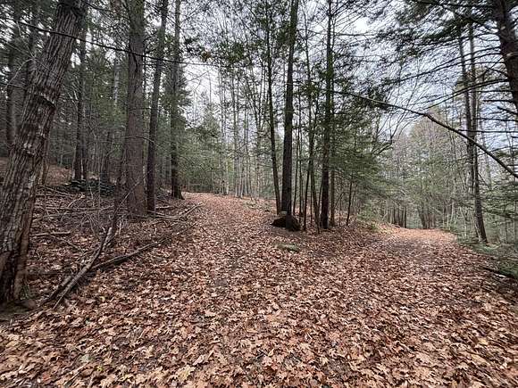 33.1 Acres of Recreational Land for Sale in Dover, Vermont