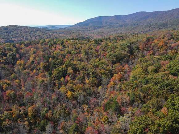 88 Acres of Recreational Land for Sale in Patrick Springs, Virginia