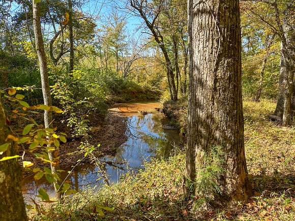 226 Acres of Recreational Land for Sale in La Fayette, Alabama