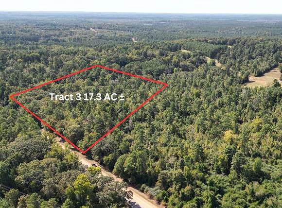 17.3 Acres of Land for Sale in Bivins, Texas