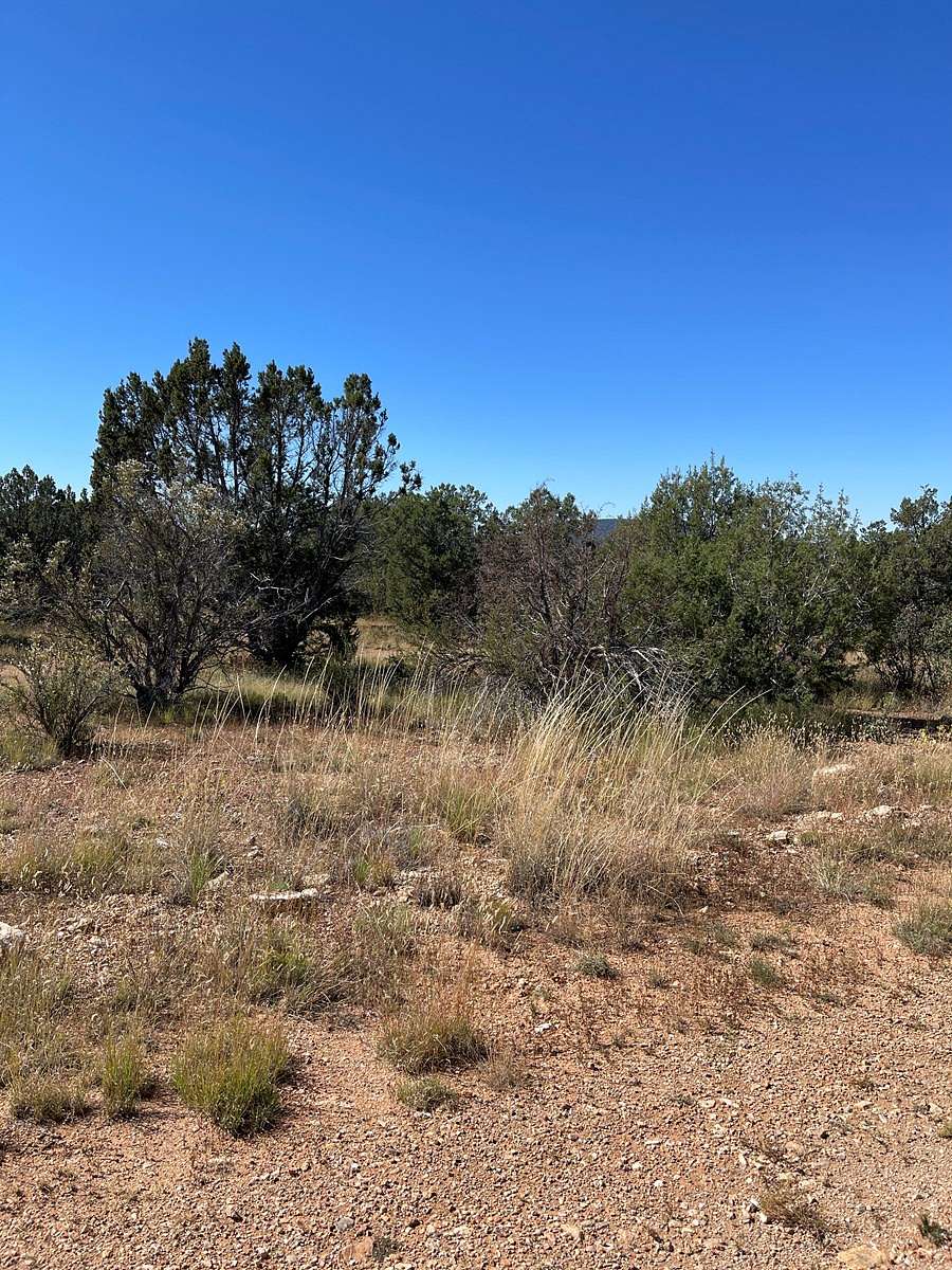 1.27 Acres of Land for Sale in Seligman, Arizona