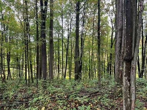 10 Acres of Recreational Land for Sale in Home, Pennsylvania