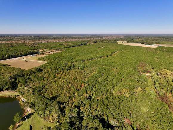 29.9 Acres of Recreational Land for Sale in Vanceboro, North Carolina